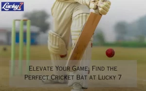 cricket bat