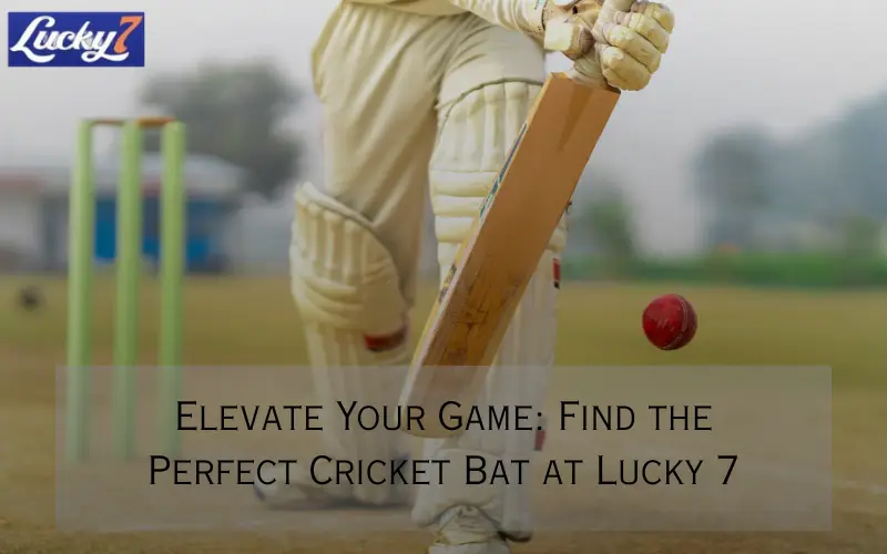cricket bat